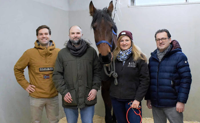 Forschen fürs Pferd (v.l.n.r.): Florian Bartenschlager, Lars Mundhenk, Heidrun Gehlen, Zoltán Konthur