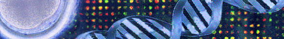 bildstreifen_we03
