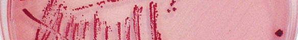 bildstreifen_we10