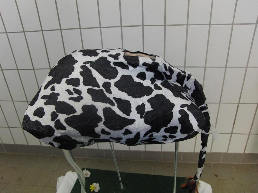 Lernstationen • Veterinary Skills Net • Fachbereich Veterinärmedizin
