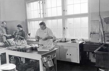 Bildchronik des Institutes für Lebensmittelhygiene, IV. Band, 1953-1954
