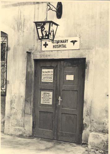 veterinary_hospital