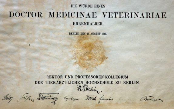 Siegel Ehrenpromotionsurkunde 1918 mit den Unterschriften der Professoren: Eberlein, Schütz, Fröhner, Schmaltz, Regenbogen,...