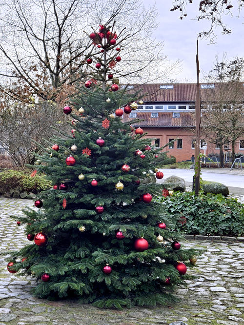 Habt ein frohes Fest und einen guten Rutsch ins neue Jahr!