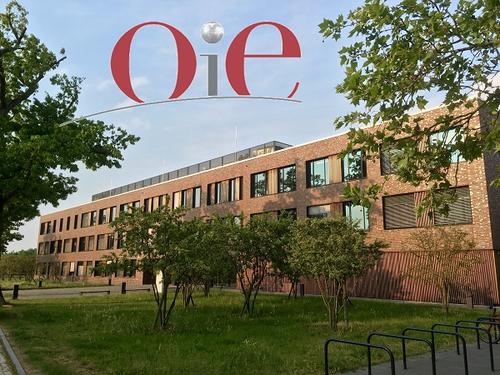 OIE-Referenzlabor für Equine Herpesviren und Equine Influenza