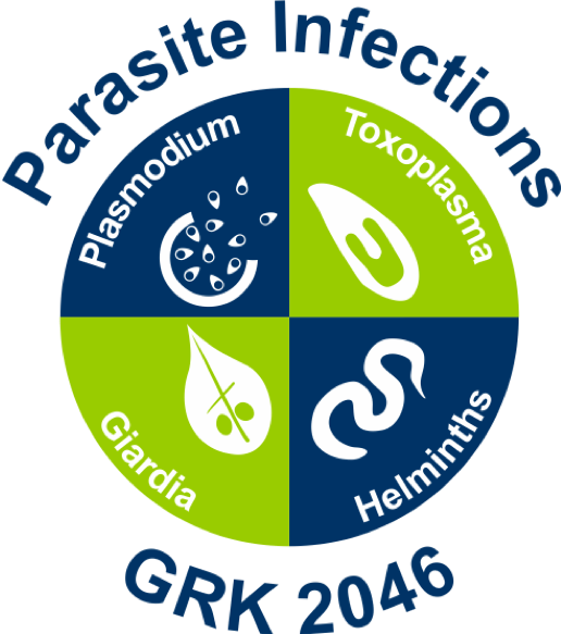 GRK2046_logo_Aufmacherliste