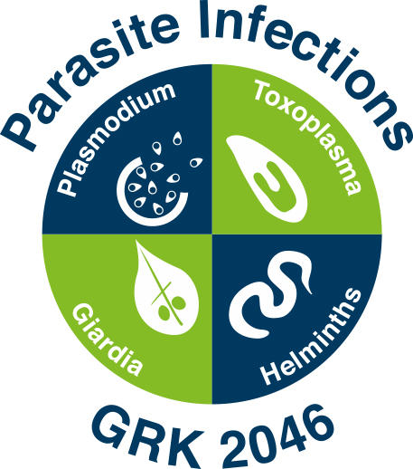 GRK2046_Logo_oben