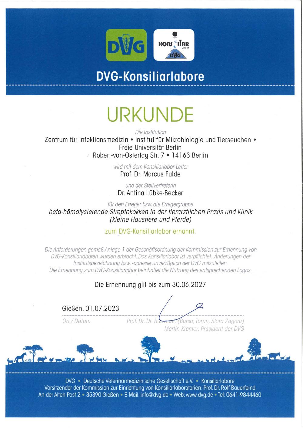 DVG-Konsiliarlabor für beta-hämolysierende Streptokokken