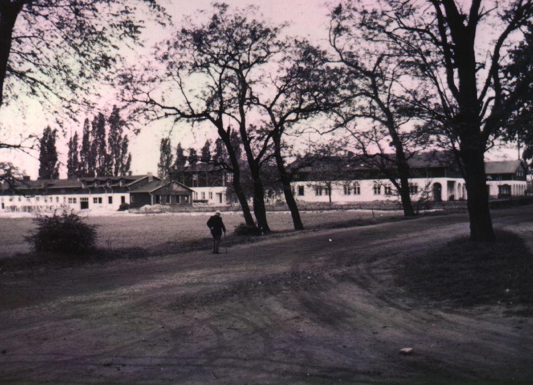 Campus der Tierkliniken 1955