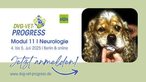 25-05-20_DVG-Vet-ProgressM11_Grafik-fuer-FU