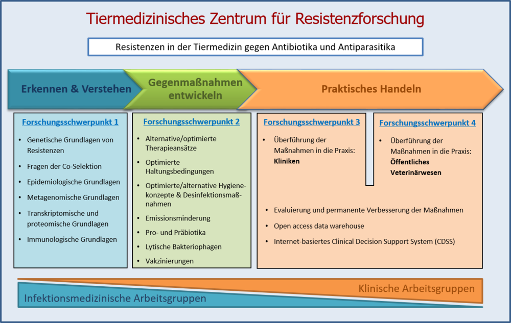 TZR-Forschungskonzept