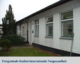 Postgraduale Studien Internationale Tiergesundheit