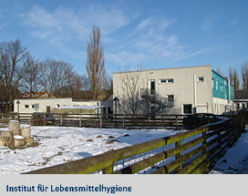 Institut für Lebensmittelsicherheit und -hygiene (WE08)