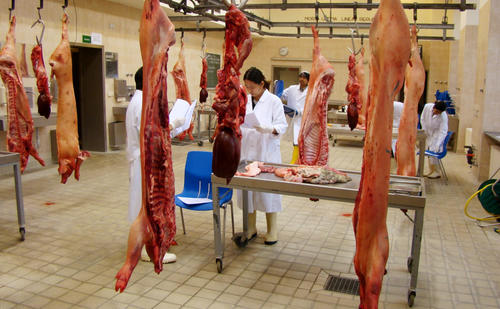 training_meat_inspection 1