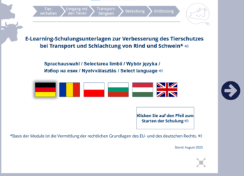 Startseite mit Sprachauswahl