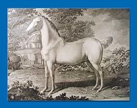damals.. (Kupferstich von Ludwig Wolf, 1798 (*))
