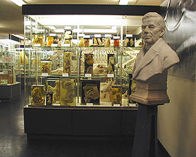 Vitrine in der Sammlung