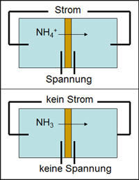 Ussingkammer