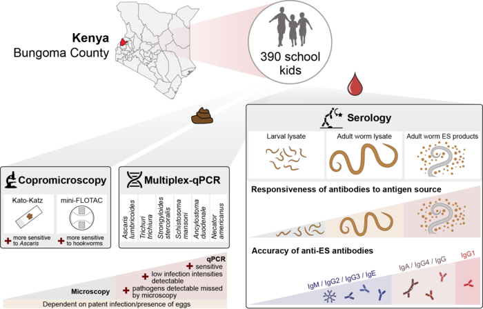 Mugo et al 2024 GA Asariasis