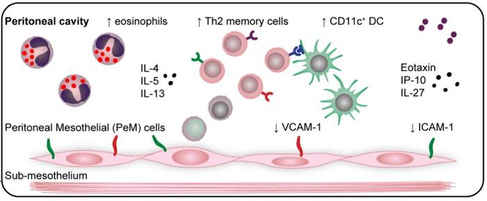 Yordanova-et-al-2022-grafik memory