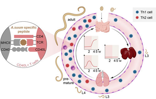 Oser et al. 2024