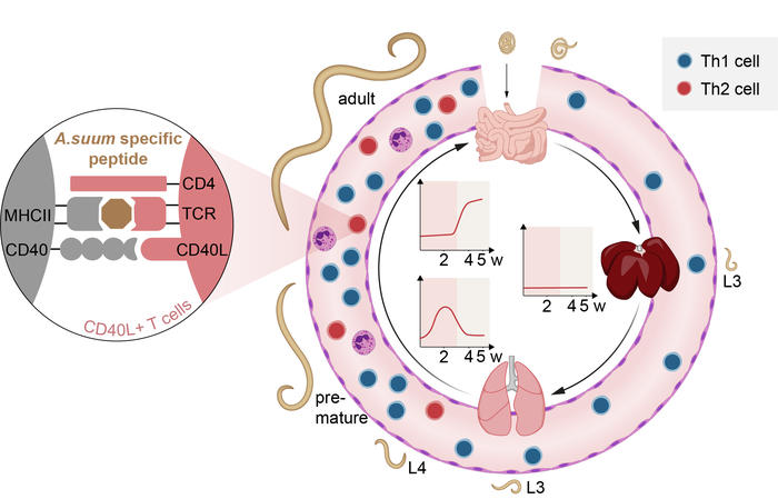 Oser et al. 2024