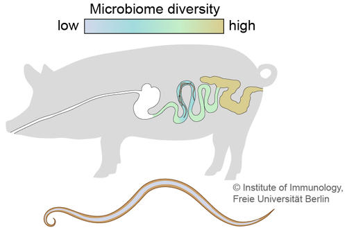 4_Microbiome_EN