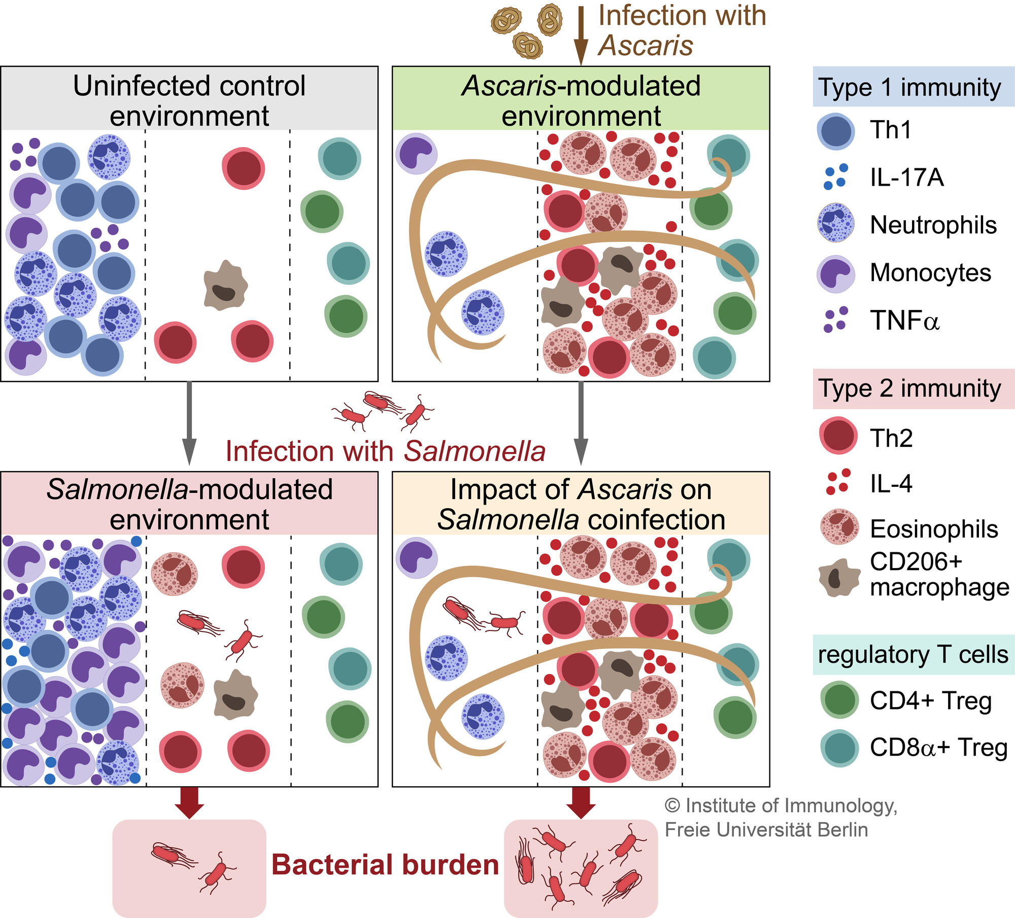 Coinfection