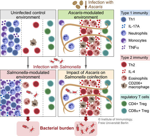 Coinfection