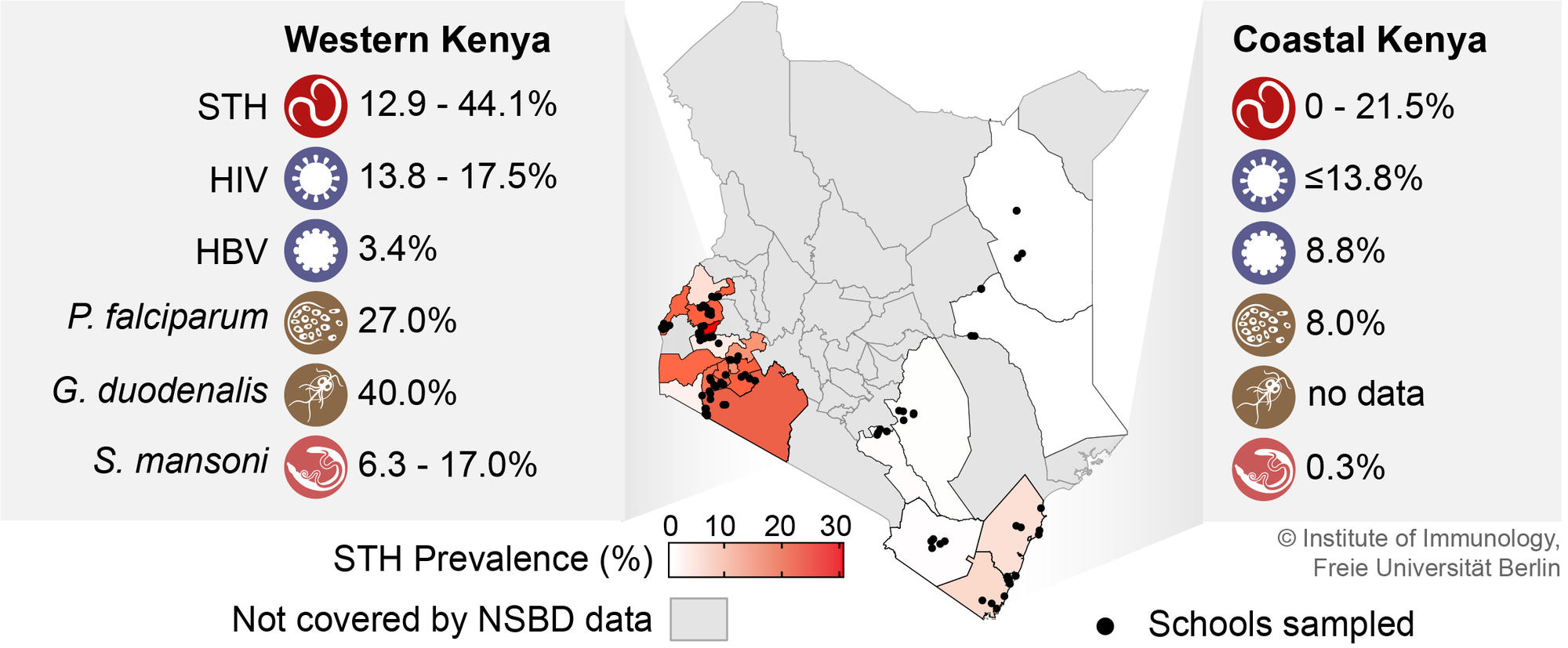 Fig. 1 Prevalence of soil-transmitted helminths (STH) in Kenya and co-occurring infections in areas of high STH prevalence (Schlosser-Brandenburg et al. 2023).