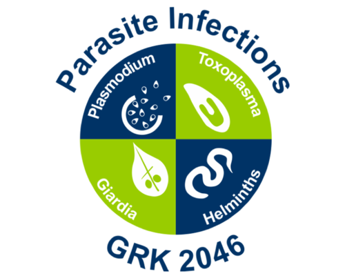 GRK2046 Logo Verbuende