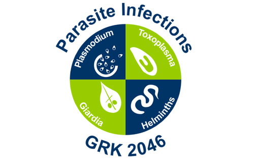 GRK2046 Logo breit