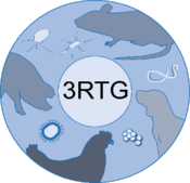RTG3051