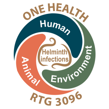GRK 3096 Logo