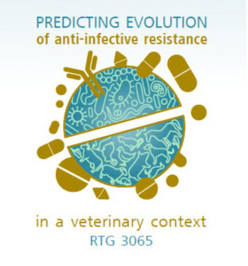 GRK 3065 Logo