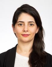 Fereshteh_2020