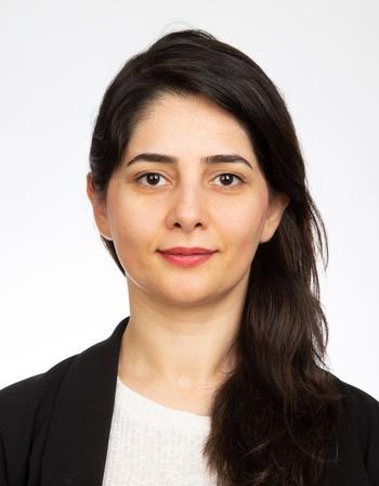 Fereshteh_2020