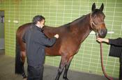 Clinical examination of the airways