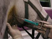 Fig.1: Fine needle aspirate of the thyroid gland