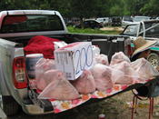 Pigheads for sale -  Chiang Mai Oct 2010