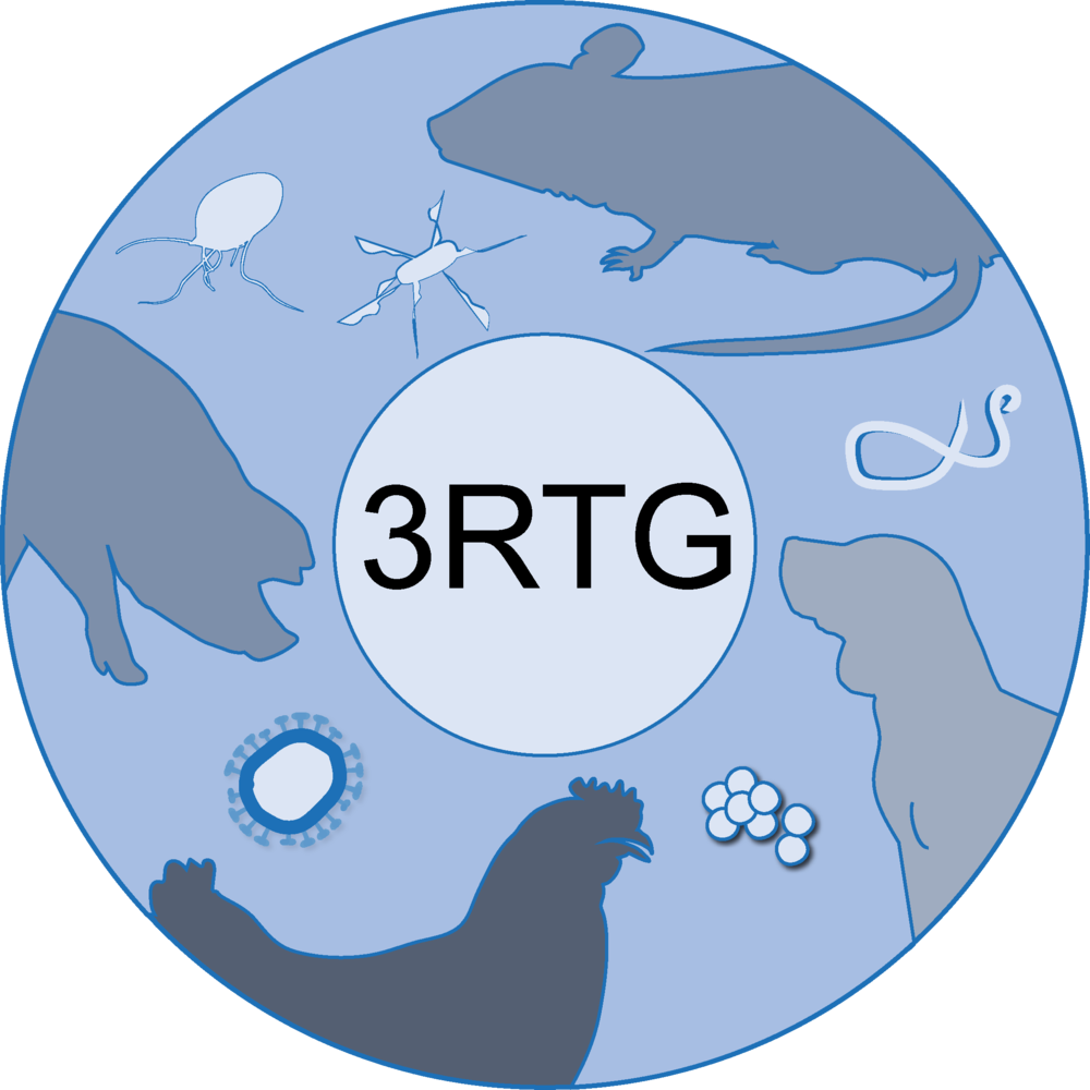 1_3RTG Deckblatt