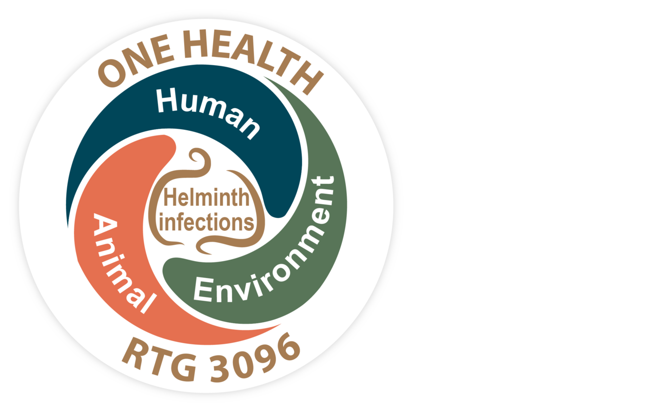 GRK 3096 Logo