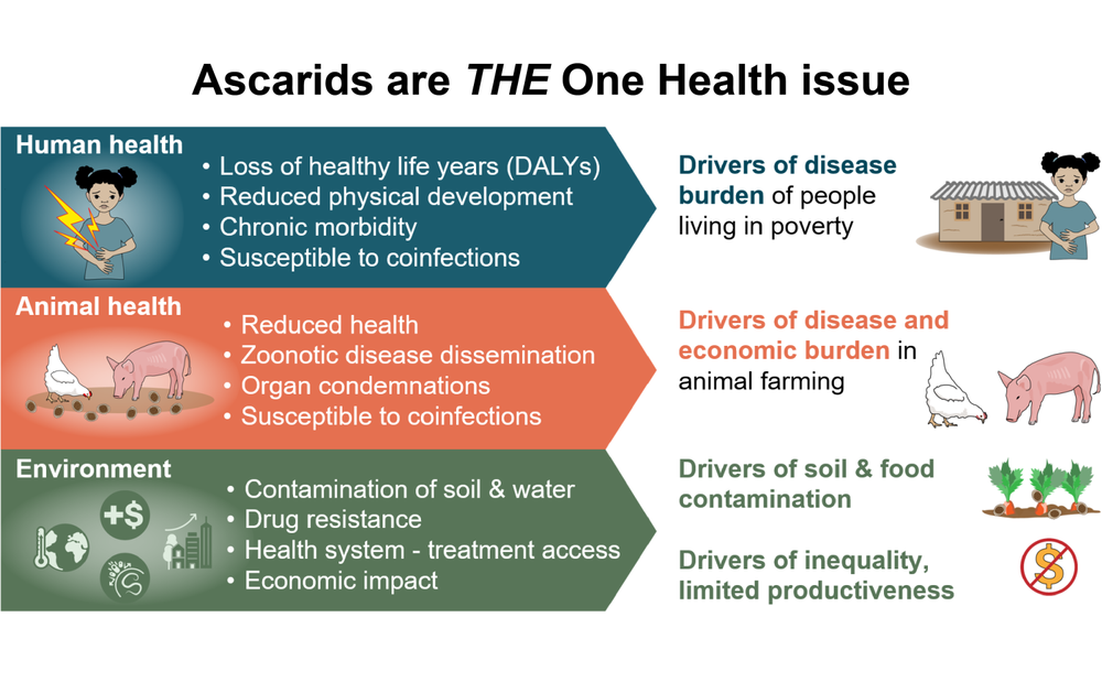 OneHealth