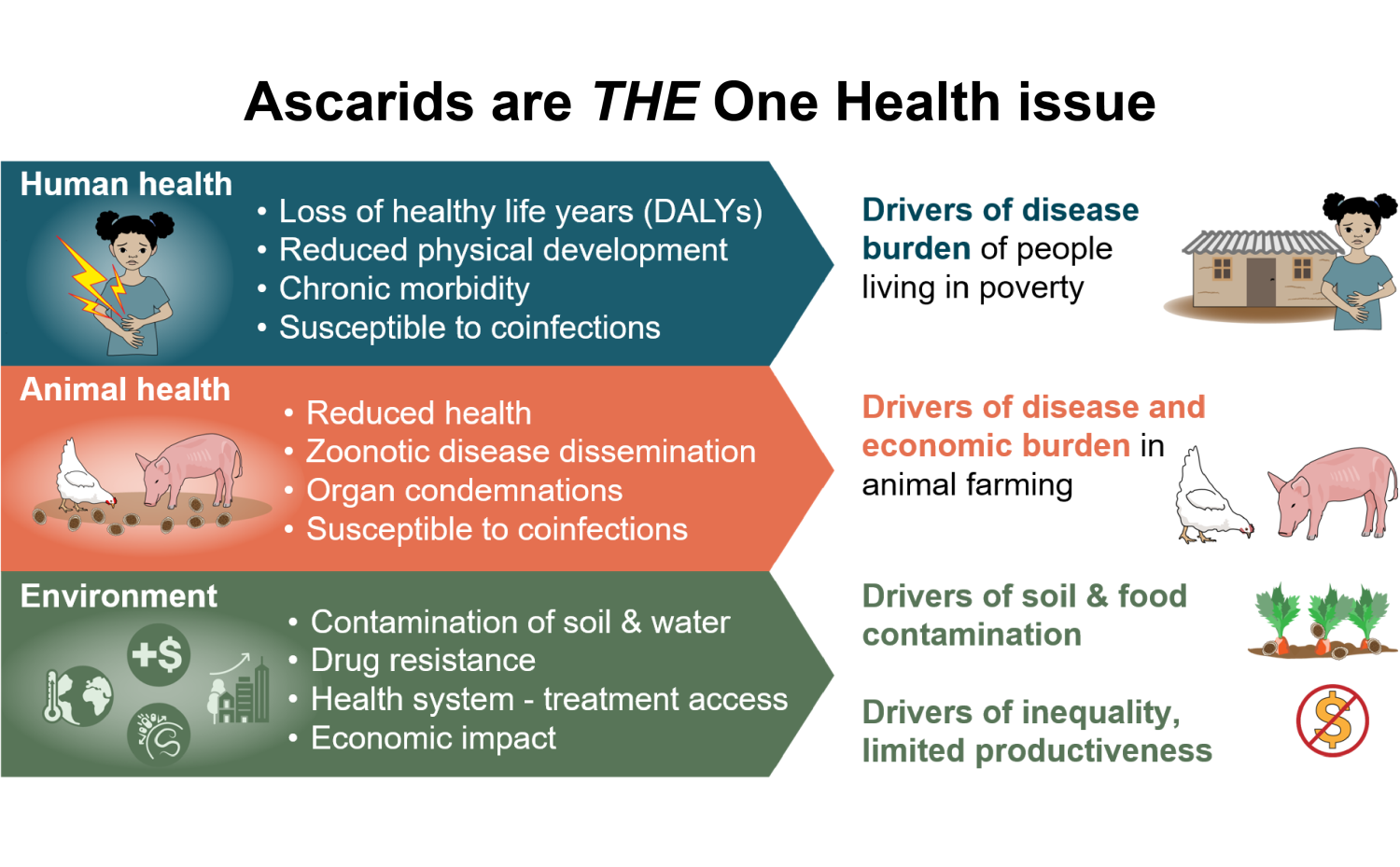 OneHealth
