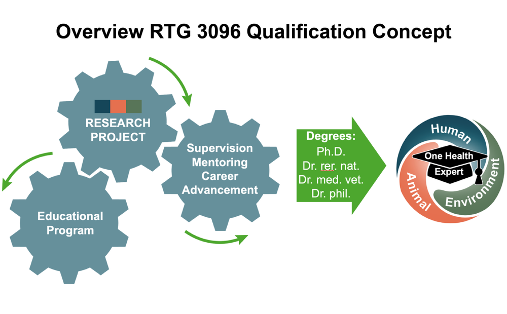 Qualification Concept