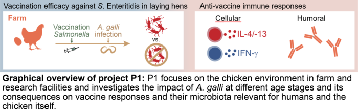 Image credit: Institute of Immunology