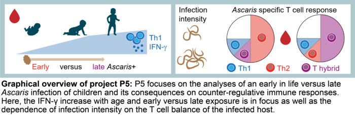 Image credit: Institute of Immunology