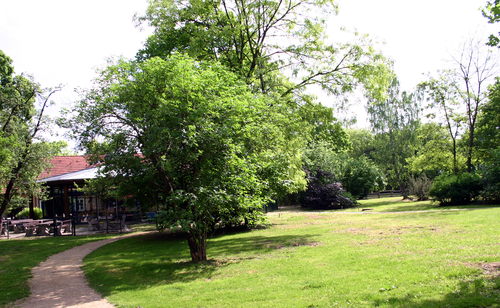 View of the canteen