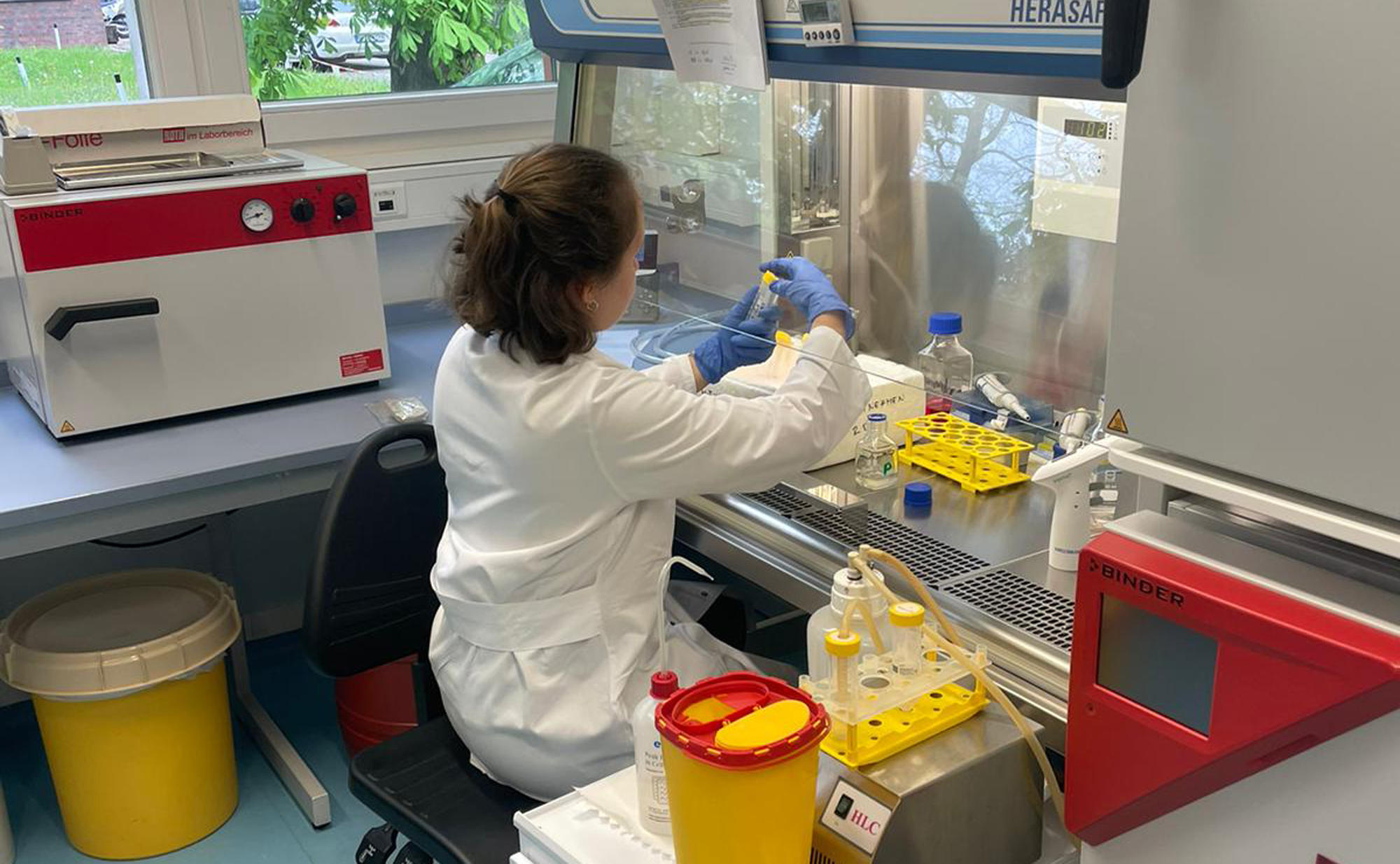 Laboratory area - cell culture