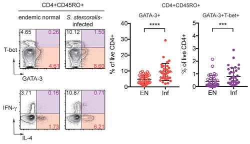 Th2/1 hybrid cells in Strongyloides stercoralis-infected patients from South India. (Click on the image for a detailed legend.)